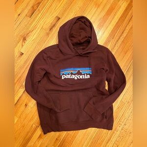 Patagonia men’s hooded sweatshirt